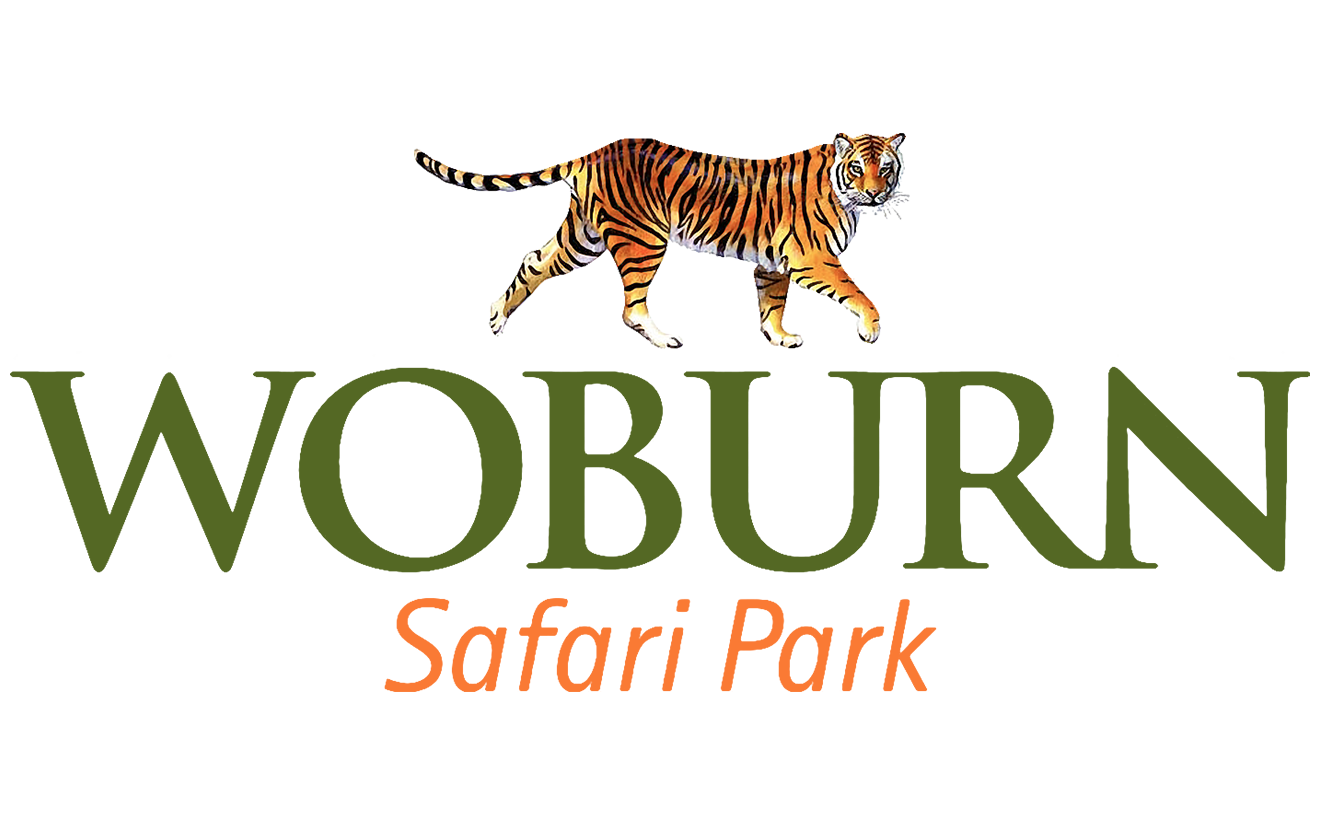 woburn safari park images